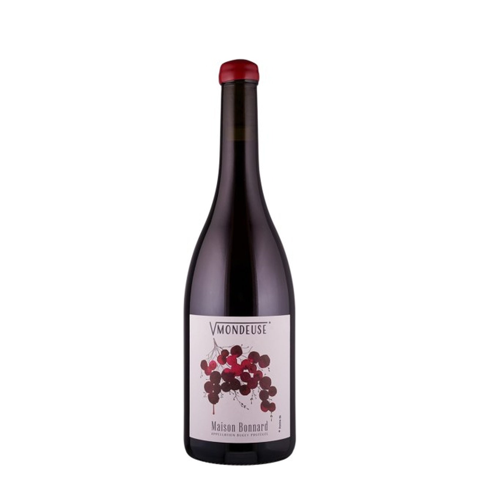 몽되즈 드 몽타뉴 라신 드 몽되즈 2022