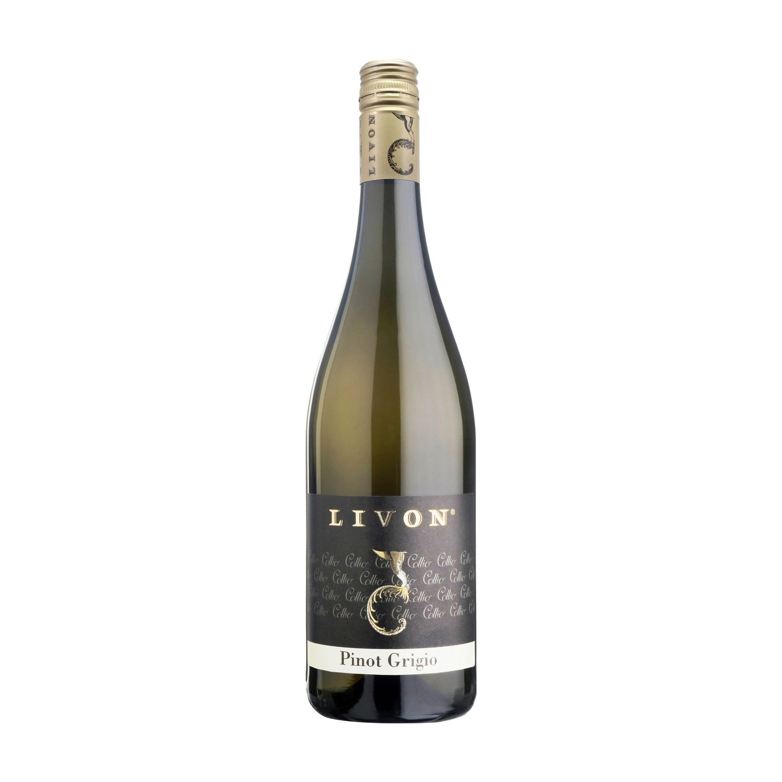 리본 피노 그리지오 2025